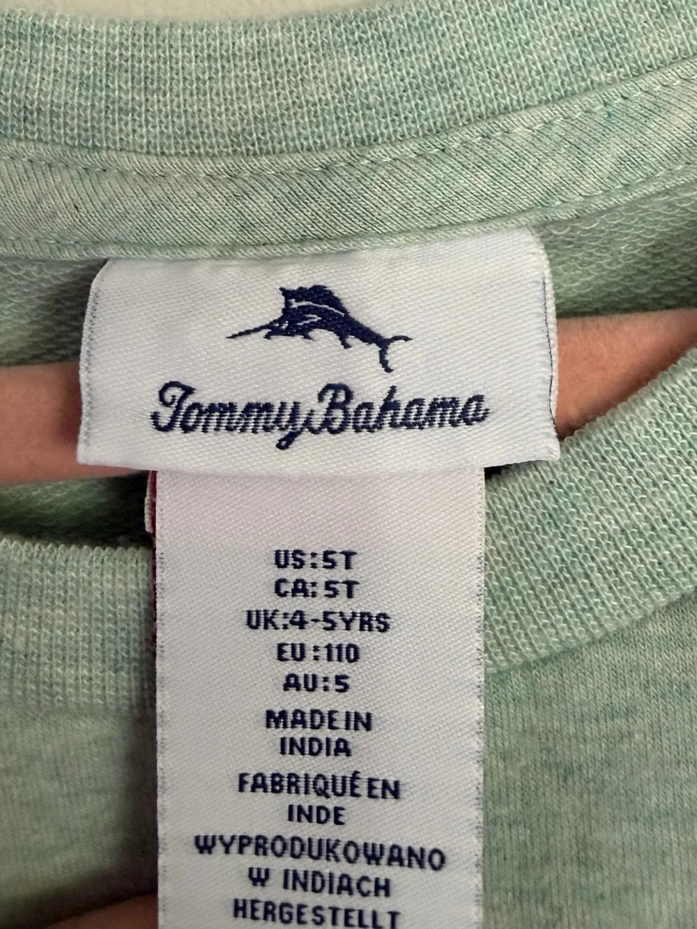 Tommy Bahama Mint Green Dinosaur Sweatshirt 5T